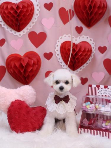 20240220小雪ちゃん